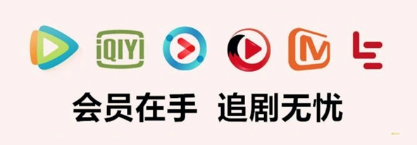 虚拟卡劵货源与视频会员批发平台操作界面截图